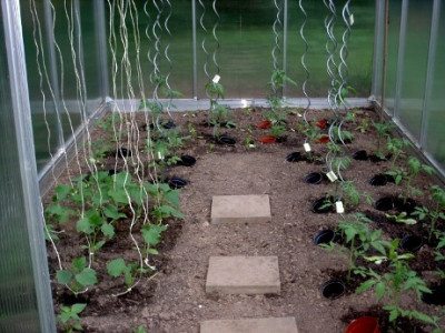 Gartenhaus_017.jpg