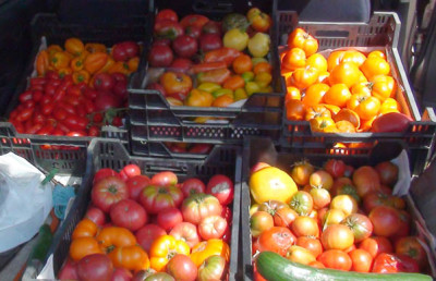mein_Kofferraum_2012-08-18.jpg