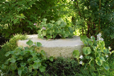 Muehlstein.jpg