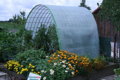 August0411b.jpg