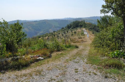 Aussicht_12__0894.jpg