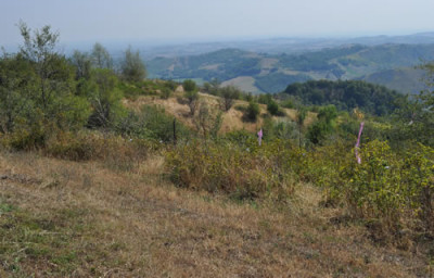 Aussicht_4_12__0898.jpg