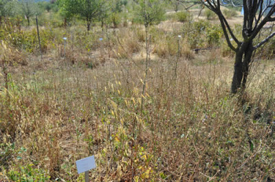 Duerr_12__0907.jpg