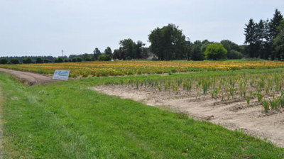 Weite_Felder_12__0926.jpg