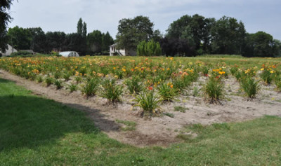 Schaugarten_12__0928.jpg