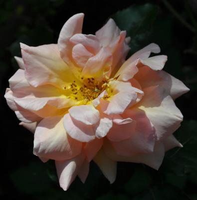 Angel_Guimera_12__1773.jpg