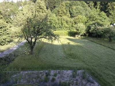 Kopie_von_11-06-27.jpg