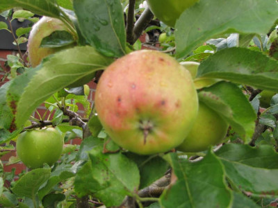 VerkleinerungenIMG_0334.jpg