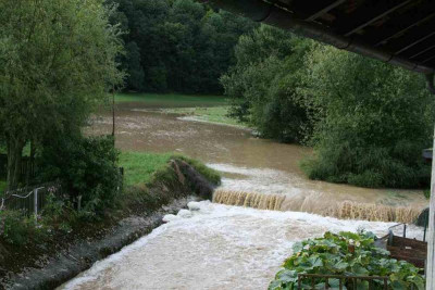 verkleinert-August0212.jpg