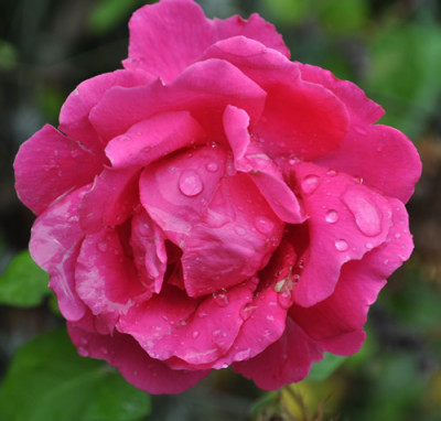 Blaze_Superior_12__1909.jpg
