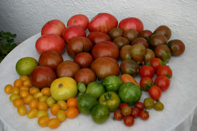 August0508d.jpg