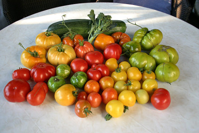August1010a.jpg