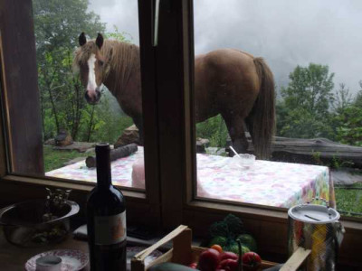 DSCF3031.JPG
