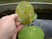 DSC02421.JPG