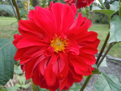 31.08.12_003.JPG