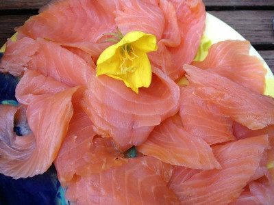 at-quendula_lachs_zg.jpg