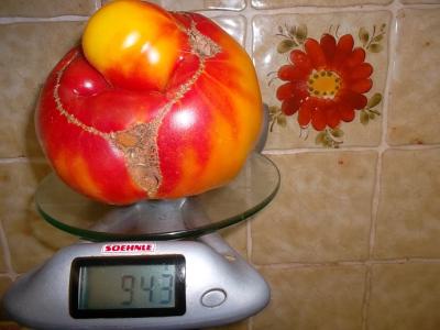 grosseTomate.jpg