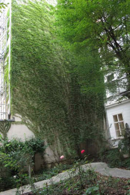 gruenewand.jpg