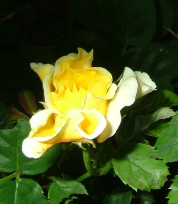 NZ_Lucia_2012_002_b007.jpg