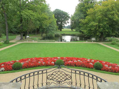 Eisblumen_7.9.12_ue.jpg