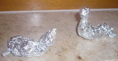 seehunde1.jpg
