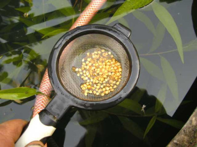 K640_BILD0892.JPG
