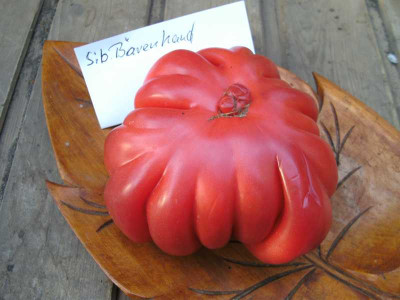 K800_BILD0176.JPG