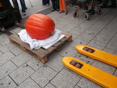 Hokkaidobeimwiegen.jpg