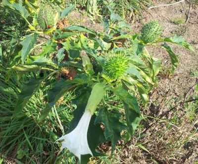 20120916_143819.jpg