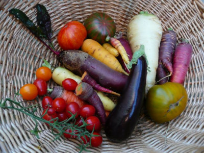 ernte_120916.jpg