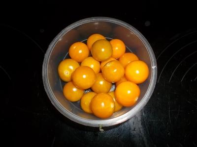 Physalisgross.jpg