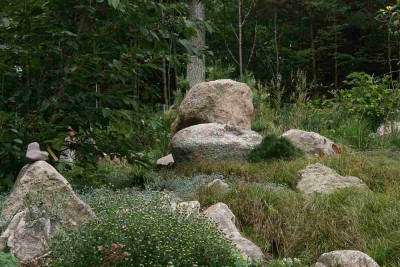 verkleinert-IMG_1208.jpg