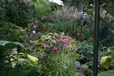 Gartenimpressionen7412.jpg