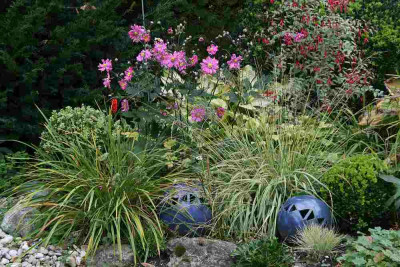 Gartenimpressionen7112.jpg