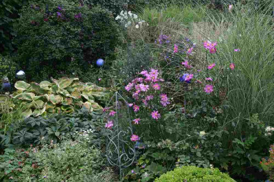 Gartenimpressionen7212.jpg