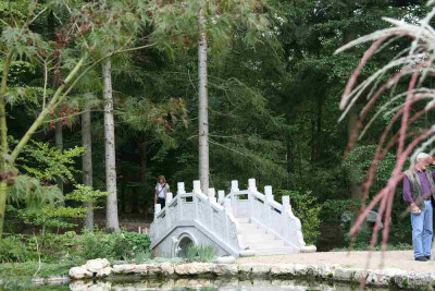verkleinert-IMG_1258.jpg