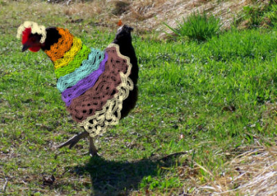 Strickmodell.jpg