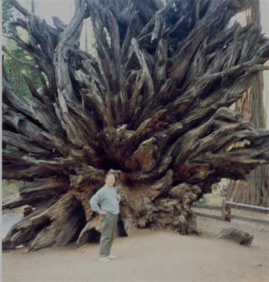 California12_Small.jpg