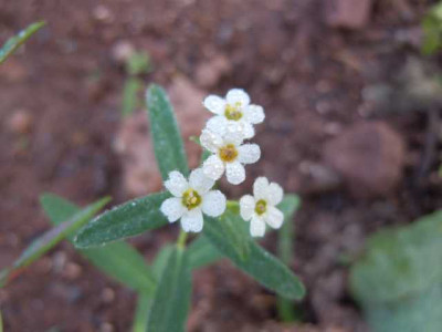 Sept_2012_021.JPG