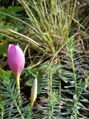 Sept_2012_026.JPG