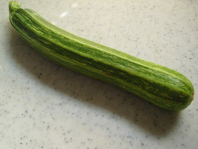 Coucourzelle.jpg