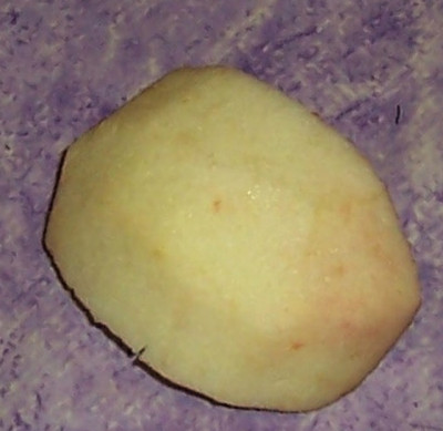 Sep_12_010_Fruchtfleisch.jpg