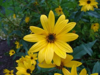 2012_09_27_09.JPG