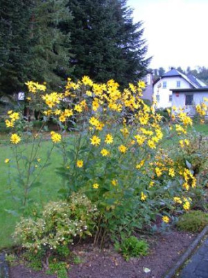 2012_09_27_01.JPG