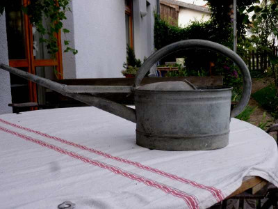 P1020376.jpg