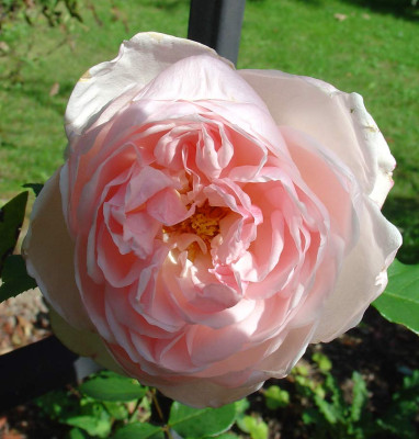 Marie-Helene_230912.jpg