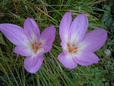 Okt_12_004.JPG