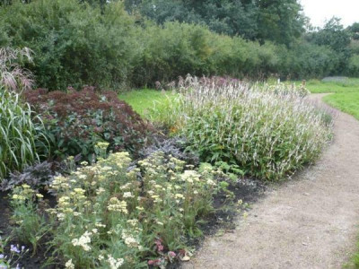 Staudenbeet_Pagels_Garten_031012.jpg