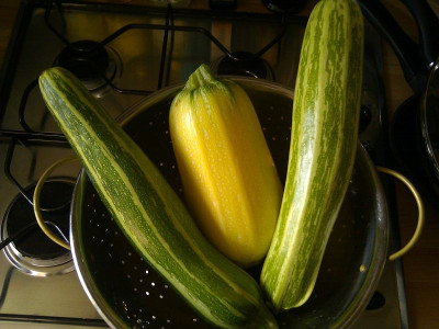 Ernte_4.10.12_1.jpg