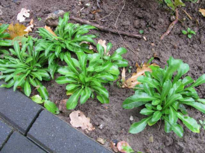 K640_IMG_3750.JPG